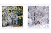 NC-XM502 - Winter Woodland and Foxes Christmas Notecards (6 cards)